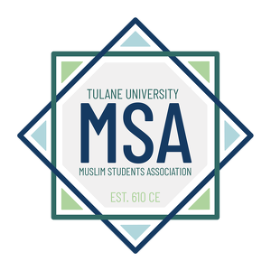 Fundraising Page: Tulane MSA